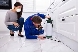 Professional Pest control in Thomson, GA